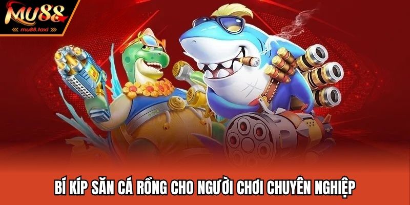 Bí kíp săn cá rồng đối với người chơi thâm niên