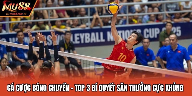 Cá Cược Bóng Chuyền - Top 3 Bí Quyết Săn Thưởng Cực Khủng