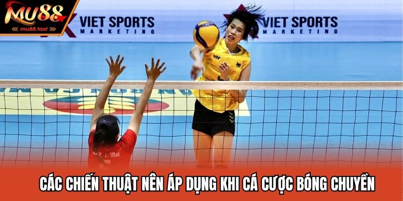 Các chiến thuật nên áp dụng khi cá cược bóng chuyền