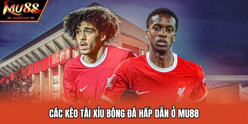 Các kèo tài xỉu bóng đá hấp dẫn ở MU88