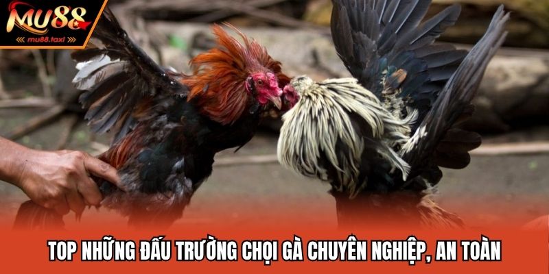 Những nền tảng đang hợp tác cùng nhà cái uy tín