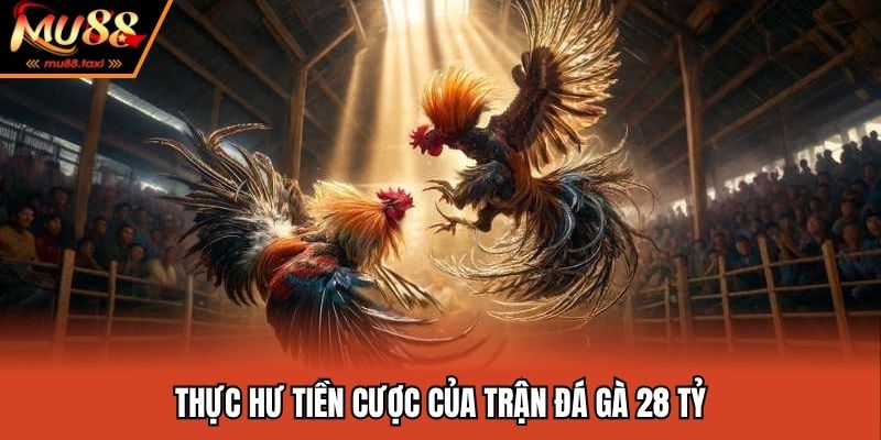 Thực hư tiền cược của trận đá gà 28 tỷ